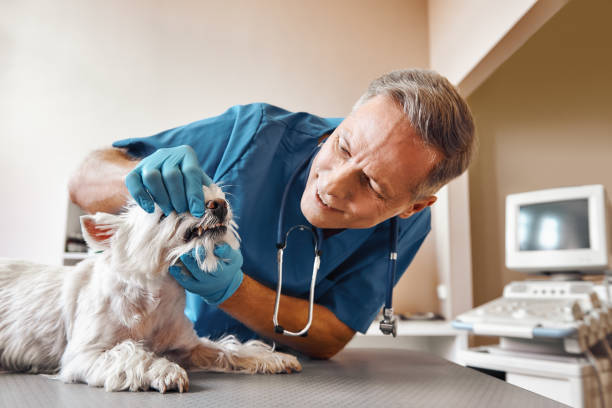 Best Same-Day Emergency Appointments in Lexington, MI
